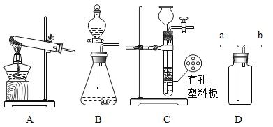 化學(xué)用語填空與海洋生物活性物質(zhì)提取簡(jiǎn)述